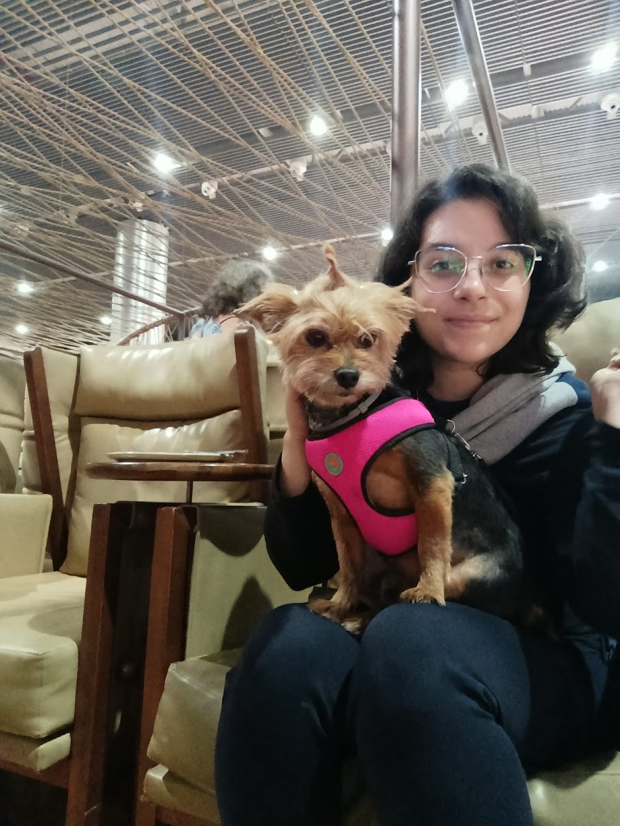 Foto enviada por Lizia Borrello na avaliação do Google