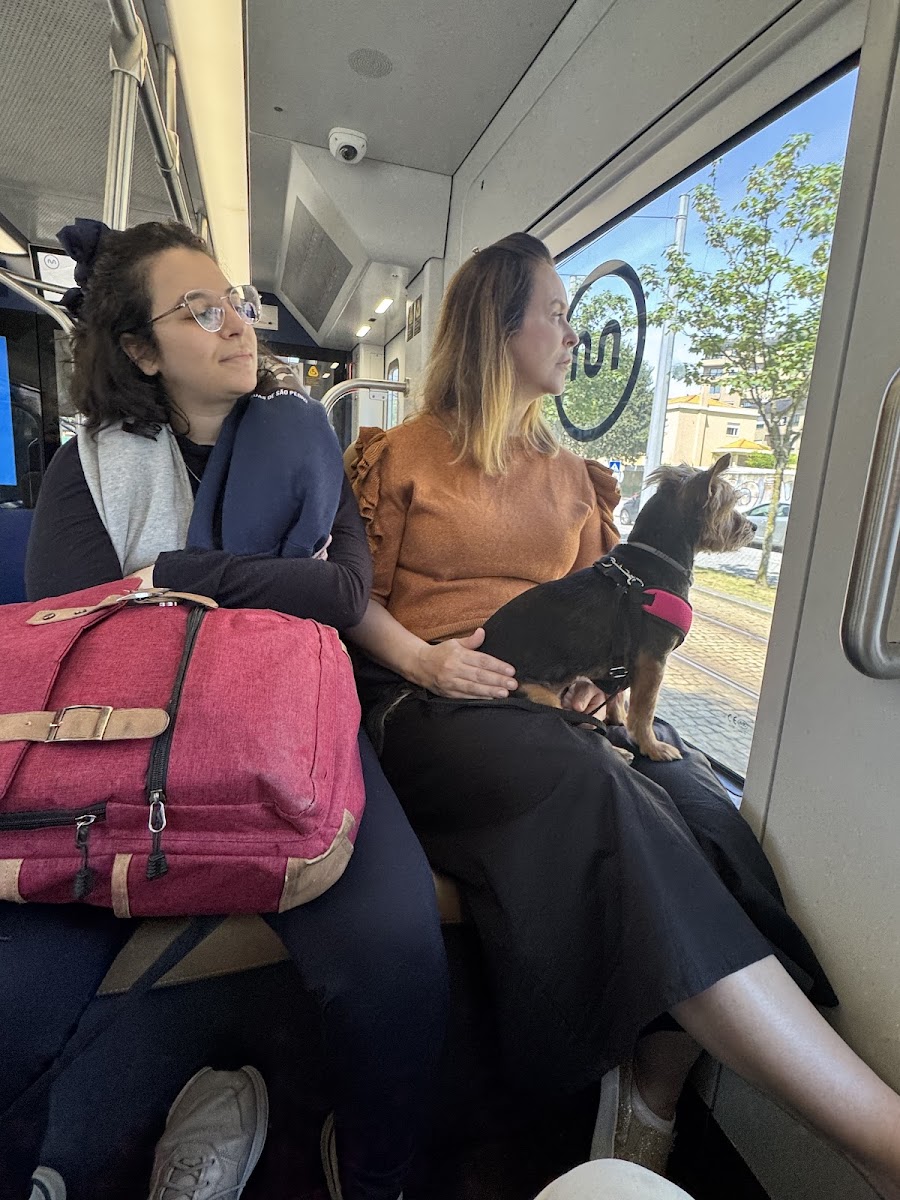 Foto enviada por Lizia Borrello na avaliação do Google