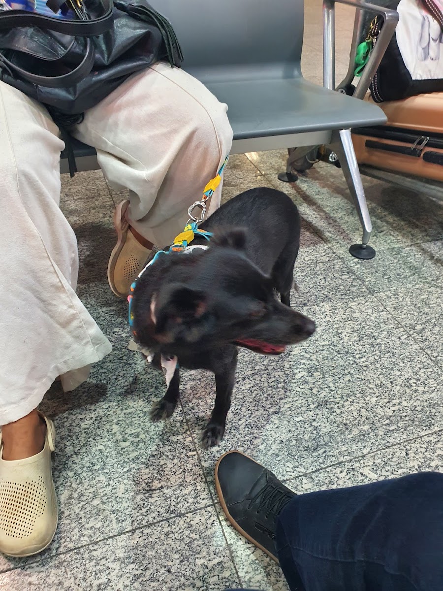 Foto enviada por Suelem Ferreira na avaliação do Google