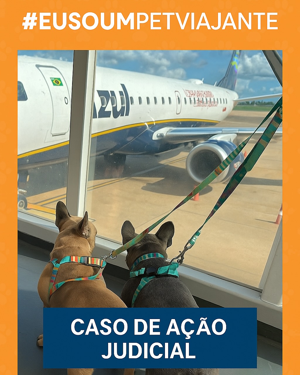 Romeu e Julieta: da Justiça à cabine do avião.