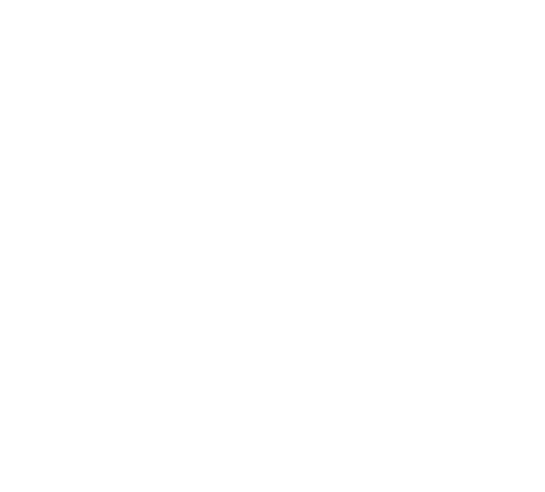 Pet Viajante